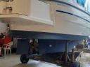 Flying Albatross 871 Smunk