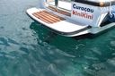 Sargo 25 Explorer