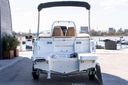 Quicksilver Activ 555 Open (MY2023)