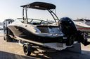 Sea Ray SPX 190 Outboard
