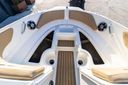 Sea Ray SPX 190 Outboard