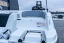 Bayliner M-17