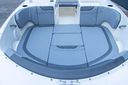 Bayliner M-17