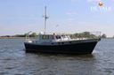 Pilot Whale 45