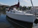 Delphia 29 Weerlam     (Weerlamke is de Friese naam voor de Watersnip vogel)