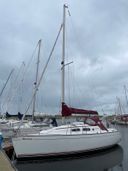 Delphia 29 Weerlam     (Weerlamke is de Friese naam voor de Watersnip vogel)
