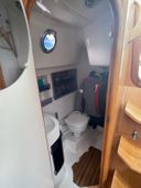 Delphia 29 Weerlam     (Weerlamke is de Friese naam voor de Watersnip vogel)