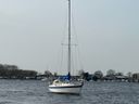 Hallberg Rassy 312 Svantevit