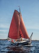 de Plaete Zeeschouw De Fuut