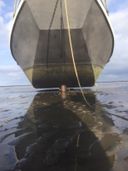 de Plaete Zeeschouw De Fuut