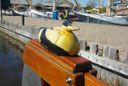 Gipon Lemsteraak De Eider