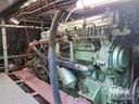 Blauwe Hand Kruiser 14.00 AK Pescori