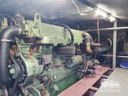Blauwe Hand Kruiser 14.00 AK Pescori