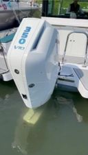 Axopar 28 Cabin Capucine