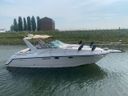 Chaparral 31 Signature
