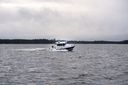 Nord Star 28+