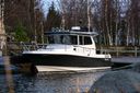 Nord Star 28+