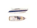 Cranchi 39 endurance speed en sportboot -