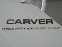 Carver 356 Fly Marco