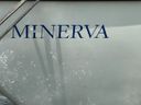 Maxi 95 Minerva