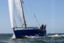 Astraea 295 Suzy Q