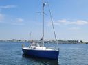 Astraea 295 Suzy Q