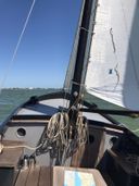 Staverse Jol Visserman Trees