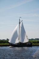 Staverse Jol Visserman Trees