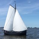 Staverse Jol Visserman Trees