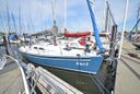 Elan 31 Blue Z