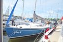 Elan 31 Blue Z