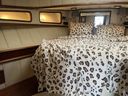 Alen Yacht Alen 425