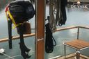 Nauticat 38