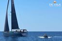 Hanse 531e