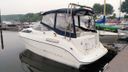 Bayliner 275 Robijn