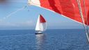 Centurion 32 -
