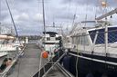 Nauticat 521