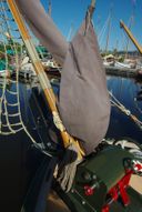 Akkerman Schokker Raagskop