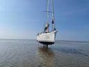 Jeanneau Sun Odyssey Zilt