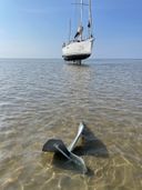 Jeanneau Sun Odyssey Zilt