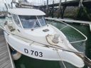 Arvor 250 AS .