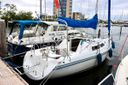 Catalina 270 -
