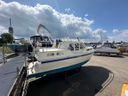 Aquanaut Beauty 950 Ivory