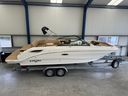 Sea Ray SDX 250
