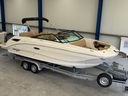 Sea Ray SDX 250