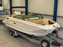 Sea Ray SDX 250