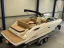 Sea Ray SDX 250