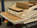 Sea Ray SDX 250