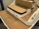 Sea Ray SDX 250