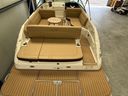 Sea Ray SDX 250